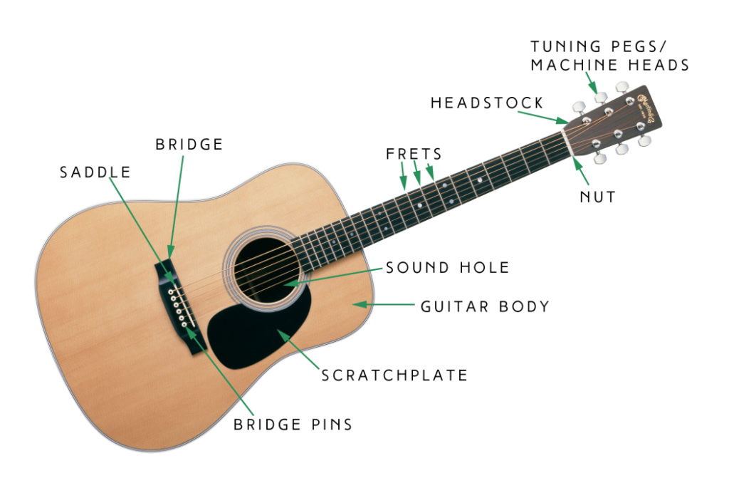 Diagram Of An Acoustic Guitar